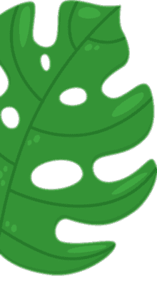 Osmaniye Elysium Baby Spa Masaj Salonu | Bebek ve Bayan Masaj Hizmetleri