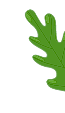 Osmaniye Elysium Baby Spa Masaj Salonu | Bebek ve Bayan Masaj Hizmetleri