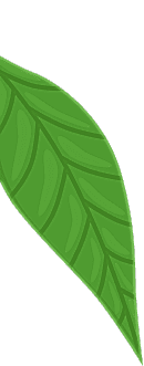 Osmaniye Elysium Baby Spa Masaj Salonu | Bebek ve Bayan Masaj Hizmetleri