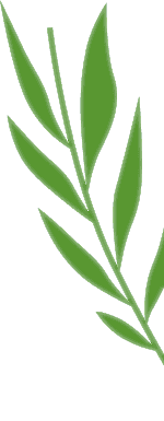 Osmaniye Elysium Baby Spa Masaj Salonu | Bebek ve Bayan Masaj Hizmetleri